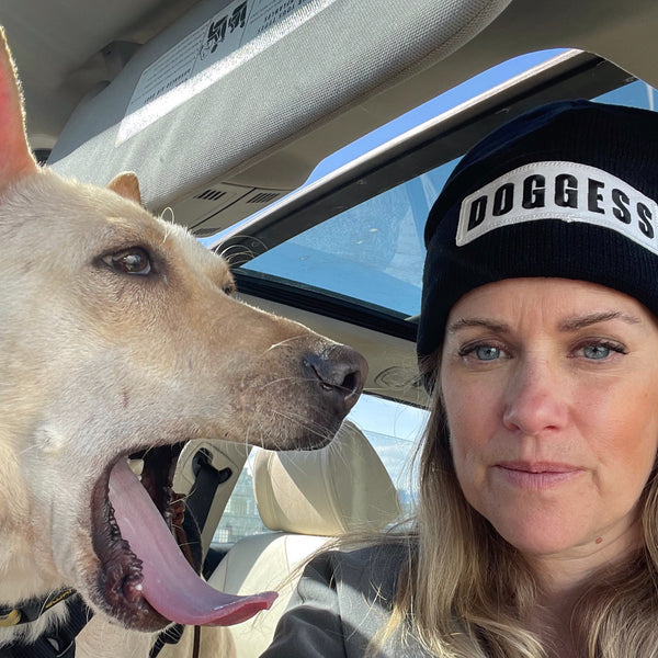 DOGGESS TOQUE BLK wht, acrylic hat, doggess embroidery, for dog charity