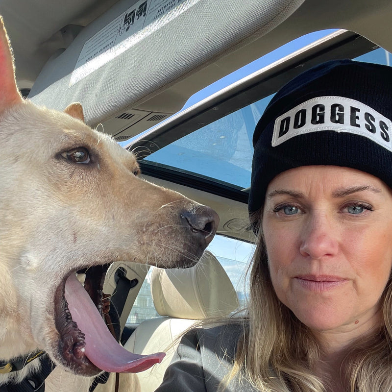 DOGGESS TOQUE BLK wht, acrylic hat, doggess embroidery, for dog charity
